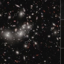 Webb observing a little red dot gravitationally lensed in the early universe