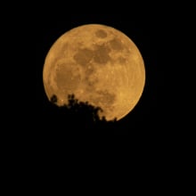 A full moon in the sky.