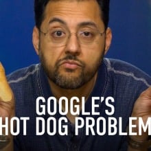 google search, ai, hot dog