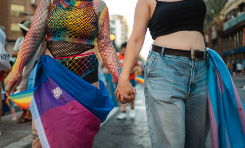 two people at pride parade, one is wrapped in the bi pride flag, another in the trans pride flag