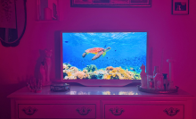 Hisense Déco TV sitting on dresser while playing an episode of "Our Planet"