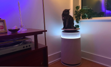 Cat sitting on top of Dreame Furcatch air purifier in living room near purple light