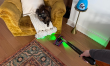 Leah vacuuming floor with Dyson PencilVac near yellow chair and cat