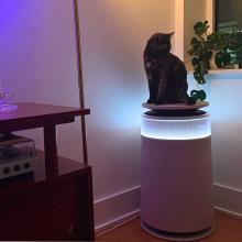 Cat sitting on top of Dreame Furcatch air purifier in living room near purple light
