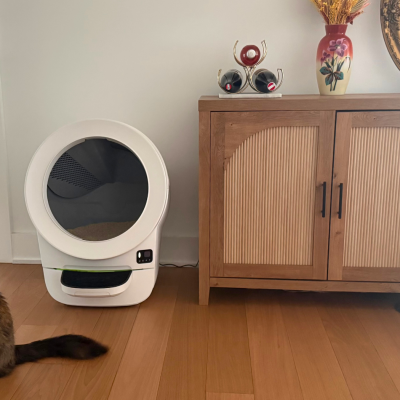 Two cats sitting in front of Litter-Robot near doorway and credenza