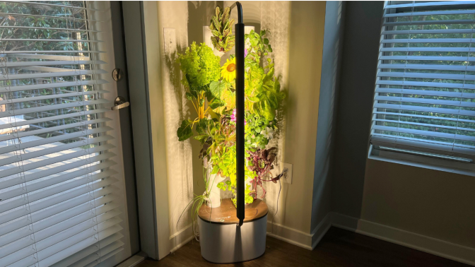indoor tower garden with plants in the corner of a room