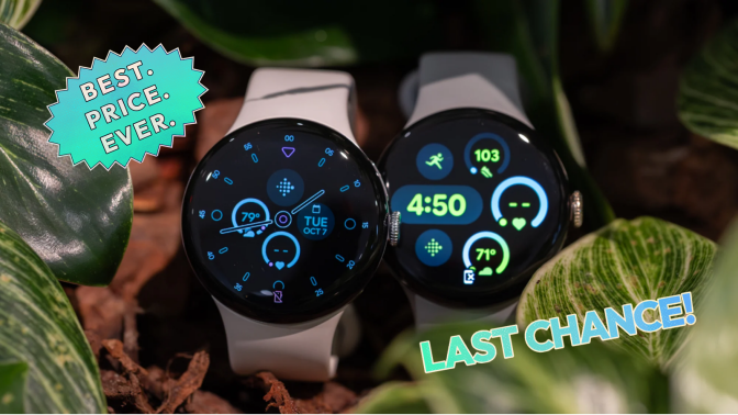 two google pixel watches under leaves